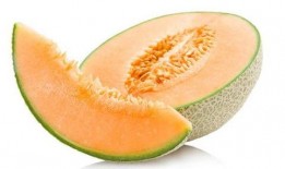 哈密瓜能给乌龟吃吗视频,视频揭秘