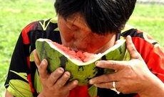 老太太吃小瓜视频大全,趣味横生瞬间集锦