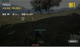 麻瓜龙吃鸡完整视频,一场奇幻与现实交织的冒险之旅