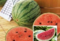 一些五年级的吃瓜视频