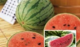 一些五年级的吃瓜视频