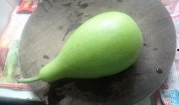 吃瓜掉皮的视频大全集,全网热门视频大全集精彩回顾