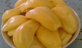 吃菠萝蜜瓜视频大全集,甜蜜滋味，尽在这一览