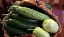 网红吃自己的瓜视频,揭秘幕后真相的惊心动魄一幕