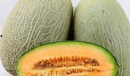 孙女吃哈密瓜好吗视频,甜蜜滋味传递幸福时光