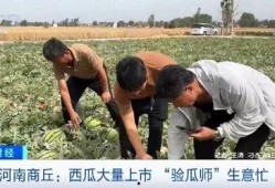 微山教师吃瓜事件视频大全