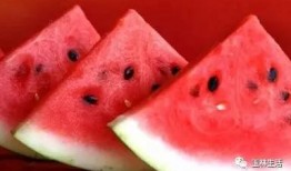 吃广西玉林瓜视频,探寻广西特色美食之旅