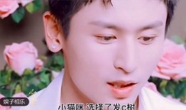 红料吃瓜爆料视频大全,揭秘娱乐圈幕后爆料视频大全