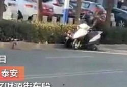 泰安警方吃瓜事件视频曝光,网络舆论漩涡中的警民互动