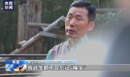 福宝吃瓜视频在线观看,带你领略网络热点的魅力瞬间