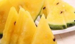 条形瓜怎么吃最好吃视频,视频教你如何吃出最佳口感