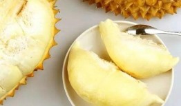 无敌小瓜吃榴莲视频,味蕾冒险之旅！