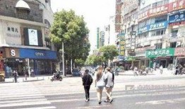 过马路吃瓜群众视频,过马路时吃瓜群众的欢乐瞬间