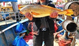 渔民围观吃瓜视频大全集