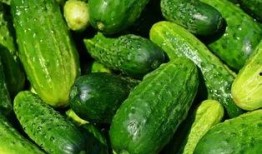 小瓢瓜怎样吃最好吃呢视频,视频教你如何吃出最佳口感