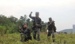 军校跳舞吃瓜视频播放,舞蹈吃瓜视频走红，揭秘军营生活新风尚