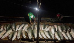 渔民围观吃瓜视频大全集