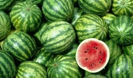 广东人吃红瓜视频,红瓜的独特风味与制作过程