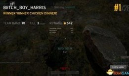 麻瓜龙吃鸡完整视频,一场奇幻与现实交织的冒险之旅