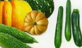 宁海最新吃瓜新闻视频,揭秘当地热门事件视频幕后真相