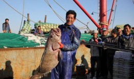 舟山吃瓜渔民事件视频,一场意外引发的全民热议