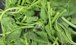 吃瓜视频真实合体怎么弄,轻松打造热门短视频