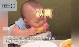 20分钟吃瓜视频在线播放,热门吃瓜视频在线播放精彩瞬间