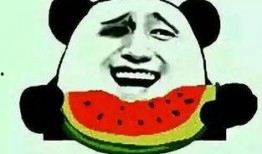 憨憨然的吃瓜视频,揭秘娱乐圈幕后故事