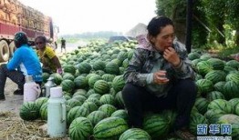 安溪县吃瓜视频,揭秘当地特色美食文化