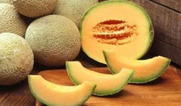 哈密瓜能给乌龟吃吗视频,视频揭秘