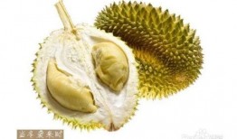 无敌小瓜吃榴莲视频,味蕾冒险之旅！