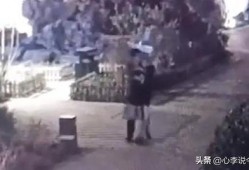 滕州吃瓜后续事件视频曝光,视频曝光揭示惊人真相