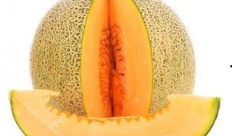 孙女吃哈密瓜好吗视频,甜蜜滋味传递幸福时光