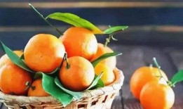 玩橘子的吃瓜博主视频