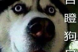 吃瓜哭的视频,吃瓜群众的真情流露