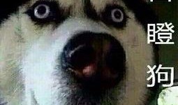 吃瓜哭的视频,吃瓜群众的真情流露