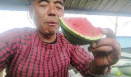 农民二哥吃瓜视频,揭秘农村生活趣味瞬间