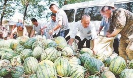 安溪县吃瓜视频,揭秘当地特色美食文化