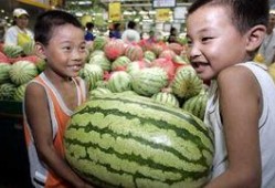 宁海最新吃瓜新闻视频,揭秘当地热门事件视频幕后真相