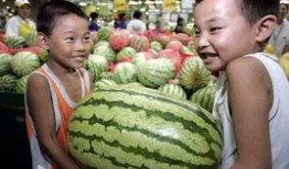 宁海最新吃瓜新闻视频,揭秘当地热门事件视频幕后真相