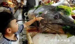 渔民围观吃瓜视频大全集