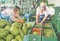 沧州吃瓜爆料视频大全集,视频大全集精彩瞬间回顾