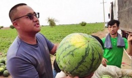 浏阳吃瓜新闻视频,揭秘当地热门事件背后的真相