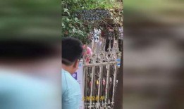 吃瓜掉皮的视频大全集,全网热门视频大全集精彩回顾