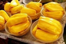 吃菠萝蜜瓜视频大全集,甜蜜滋味，尽在这一览