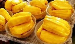 吃菠萝蜜瓜视频大全集,甜蜜滋味，尽在这一览