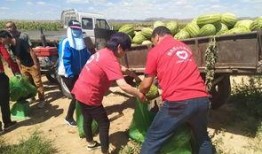 云南边境吃瓜群众原视频,揭秘边境生活百态